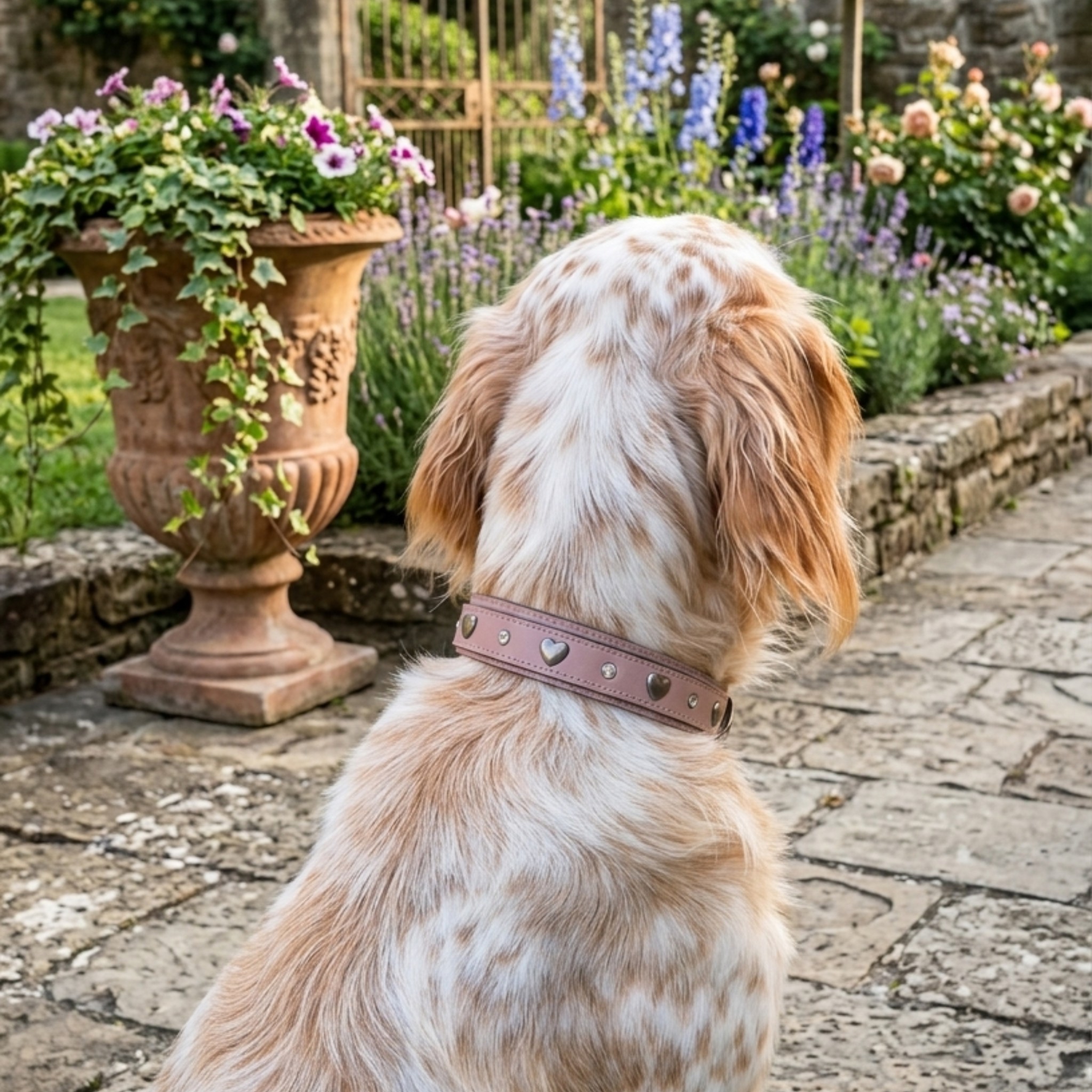 Set Collare con Cristalli e Guinzaglio in Pelle per Cani